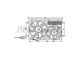 Audi - TT (8J) - Mod. 04/06 - 02/10