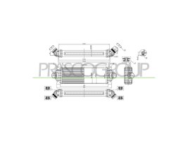 Ford - Transit (TTG) - Mod. 01/14 - 08/19