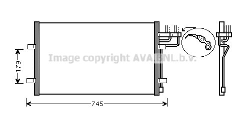 Cond. Focus C-Max * All 10/03-