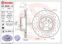 BREMBO XTRA LINE Gelochte Bremsscheibe HINTEN BMW X3...